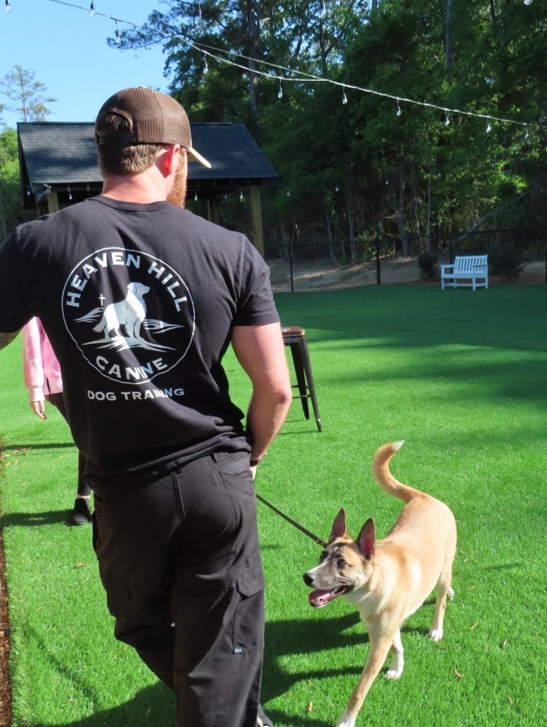 VIP Board & Train — premium dog training program by Heaven Hill Canine