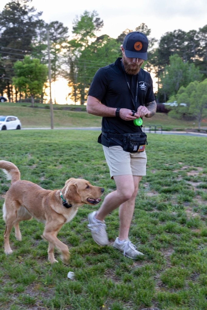 The Obedience Program — premium dog training program by Heaven Hill Canine